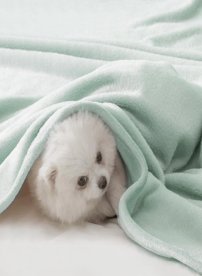 BEAUTEX بطانية صوفية من بيوتكس، مقاس كينج، فائقة النعومة، مصنوعة من الفلانيل، خفيفة الوزن، ناعمة الملمس، مناسبة للأريكة أو السرير، لجميع الفصول (لون نعناعي، 108 بوصة × 90 بوصة). - Image 2